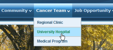 Northern Cancer Control Strategy Team CSS drop down menu