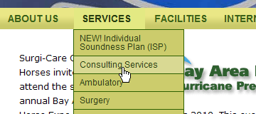 Surgi-Care Center for Horses Pure CSS drop down menu