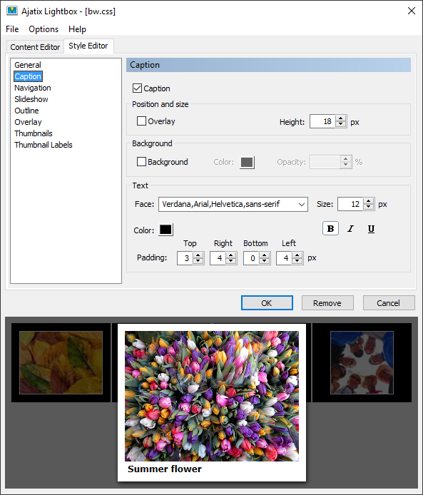 Lightbox Expression Web Add-In 1.3.3 full